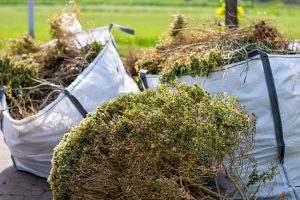 4 Signs You Need Professional Debris Removal Services